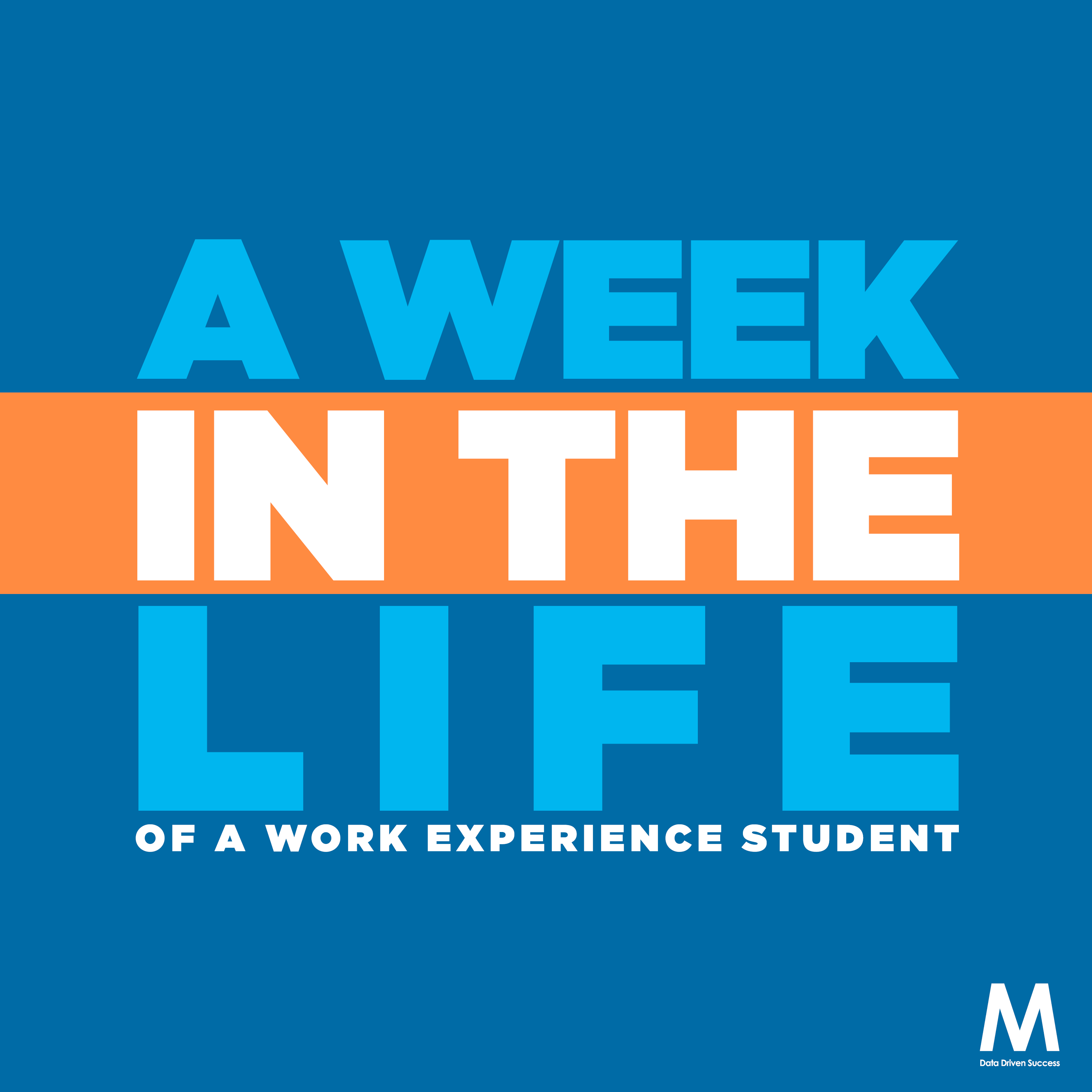 A Week in the Life… of a Work Experience Student